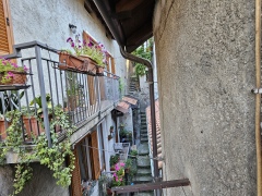 ea_20250618_091518
