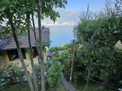 ea_20250620_090526