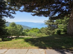 ea_IMG_20250622_WA0020