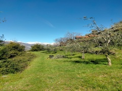 ea_IMG_20250924_WA0013
